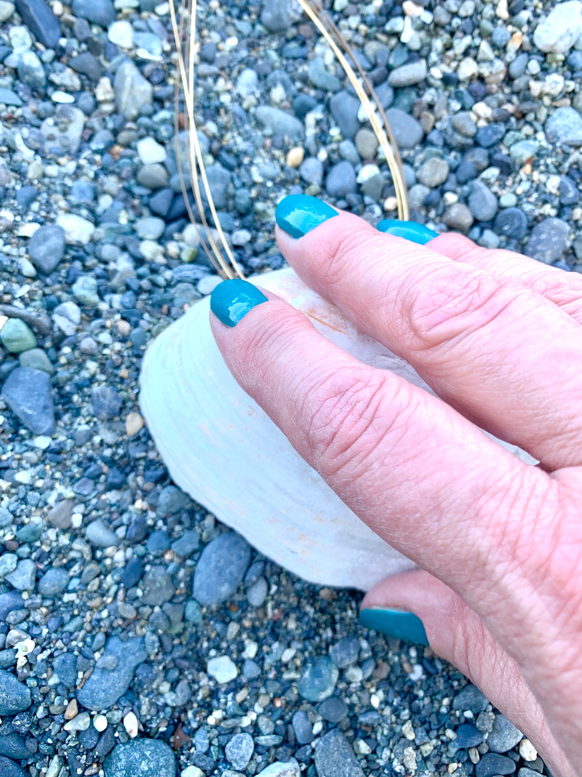 Seashell on beach and blue nails